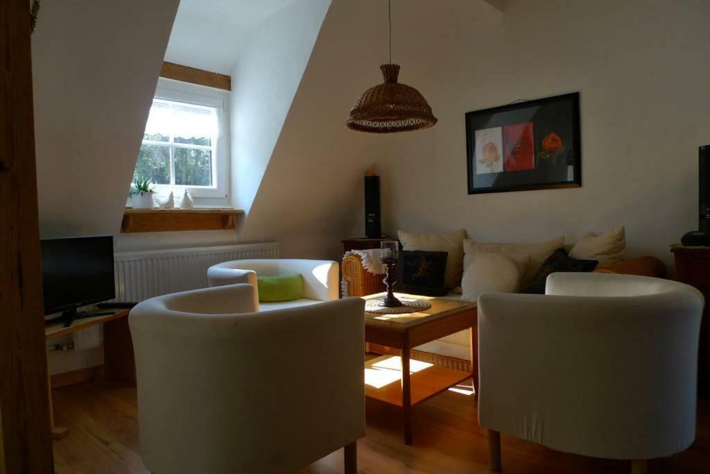 Geiernest Apartment *